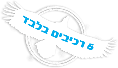 5 רכיבים בלבד